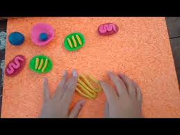 Sel hewan dan sel tumbuhan dari plastisin. Membuat Model Sel Tumbuhan Menggunakan Styrofoam Lagu Mp3 Mp3 Dragon