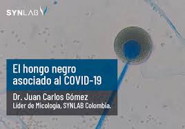 Uno de los pacientes sospechosos de haberse infectado de mucormicosis, popularmente conocida como hongo negro, murió en días pasados en el . El Hongo Negro Mucormicosis Asociada Al Covid 19 Synlab Colombia
