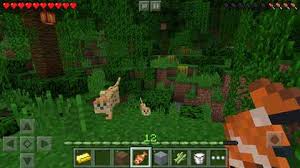 Download this premium apk from android25 now! Minecraft Pocket Edition Mod Apk V1 16 221 01 Full Latest Download