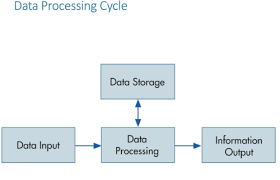 Acct 4300 Overview Of Transaction Processing And Enterprise Resource Planning Systems Flashcards Quizlet