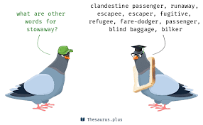 Information and translations of stowaway in the most comprehensive dictionary definitions resource on the web. Terms Clandestine Passenger And Stowaway Are Semantically Related Or Have Similar Meaning