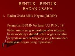 Bab Ii Badan Usaha 0leh Irmawati S Pd Ppt Download