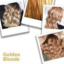 Whether you go for bold red, rich brown, or a glossy blonde, color can update any hairstyle and freshen up your look. 11 Golden Blonde Hair Ideas Formulas Wella Professionals