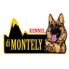 Adorable german shepherd puppies for sale.registered.healthy and ready to go.vaccinaated & dewormed.contact us via:the page shipping is available (very safe. Di Montely Kennels German Shepherd Puppies For Sale In Palm Beach Fl Home Facebook