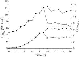 Download si jahat lite indonesia. Characterization Of A Novel Bacteriocin Produced By Lactobacillus Sakei Lsj618 Isolated From Traditional Chinese Fermented Radish Sciencedirect