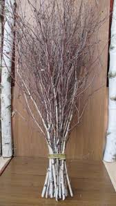 Birch Tree Branches For Sale Extra Long Birch Twigsbirch Twigsbirch Tree Branchesbirch Etsy Tree Branch Decor Birch Tree Decor Twigs Decor
