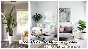 Aprende cómo decorar tu sala con plantas naturales, descubre qué tipo de plantas usar en la decoración de salas. 34 Ideas Decorar Sala Plantas 34 Como Organizar La Casa Fachadas Decoracion De Interiores Ideas Para Fiestas Moda Mujeres De 40 Anos O Mas