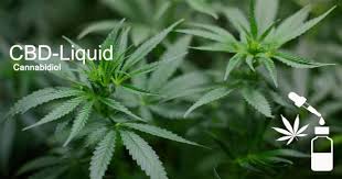 Leben sie ihr bestes leben. Cbd Liquid Dampfen Was Steckt Hinter Dem Neuen Liquid