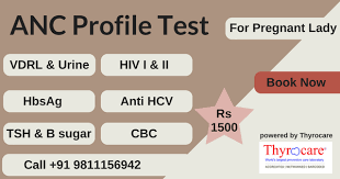 Anc Profile Test In Delhi Rs 1500 Anc Blood Test Cost