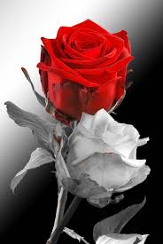 beautifulpicture ????