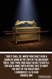 Pin By Lorraine Braxton On Judahcc Book Chapter Verse Holy Bible Mulberry Tree Philistine