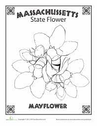 Pennsylvania flag coloring page inspirational scientific notation. Massachusetts State Flower Worksheet Education Com States Project Art Lessons Middle School Plant And Animal Cells