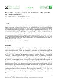 Image result for Afrohybanthus