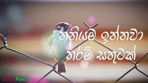 We did not find results for: Status Photos For Whatsapp Sinhala Fluffums