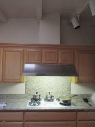 worker termites discovered in kitchen