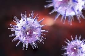 Epstein Barr Virus 2020 Ubertragung Symptome Verlauf Hygiene In Practice
