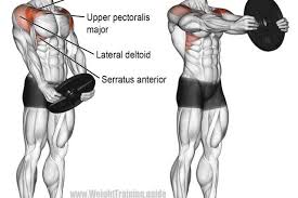 Bench Workout At Gym Exercice Musculation Exercice Musculation Epaule Et Musculation