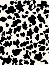 Black And White Cow Print Wallpaper Best Ideas About Cow Wallpaper On Pinterest Iphone Wallpaper Cow Print Wallpaper Cow Print Cow Wallpaper