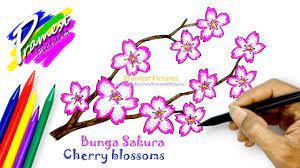 Membuat gambar sketsa bunga sakura ternyata tidak sesulit yang bayangkan. Sakura Cara Menggambar Dan Mewarnai Gambar Bunga Untuk Anak Anak Youtube