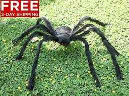 Shop online & save at target.com 5ft 150cm Hairy Giant Spider Decoration Halloween Prop Haunted House Decor Party Other Holiday Seasonal Decor Holiday Seasonal Decor