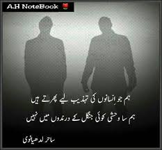 Pin on Urdu Poetry and Quotes