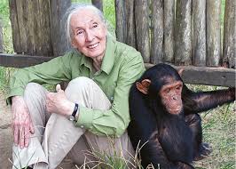 Fb.com/janegoodall & @janegoodallinst support ➡️ janegoodall.org/donate linktr.ee/janegoodallinst. Glass Steals Time With The Legendary Primatologist Turned Activist Dr Jane Goodall The Glass Magazine
