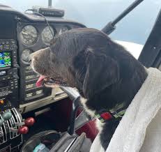 Image result for Handic 3605