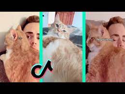 Cooter the talking kitty | Cooter the cat part 2 - YouTube