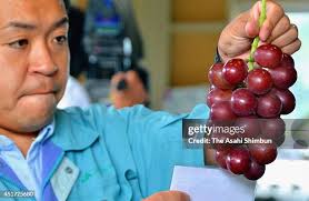 639 Roman A Grape Stock Photos, High-Res Pictures, and Images