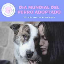 Ningún perro cantor de nueva guinea había sido visto en su hábitat natural en. Dia Mundial Del Perro Adoptado Miguitas El Salvador Facebook
