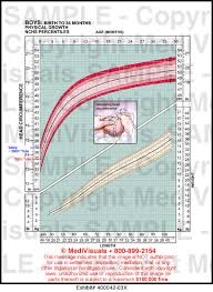 fetal head growth chart medical exhibit medivisuals