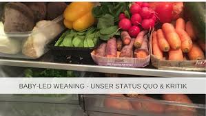 Baby Led Weaning Unser Status Quo Kritische Gedanken