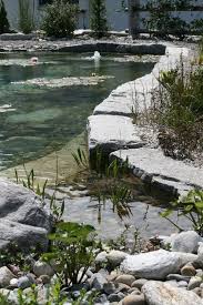 Lehnert Ag Schwimmteiche Schwimmteich Wasserelemente Im Freien Pool Wasserfall
