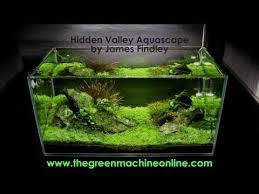 Tropical Planted Aquarium Lighting Introduction Aquascape Art The Green Machine Aquascape Planted Aquarium Aquarium