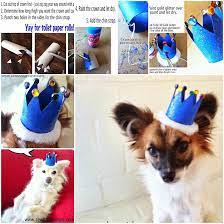 Diy Mini Dog Crown Dog Birthday Hat Diy Dog Stuff Dog Birthday