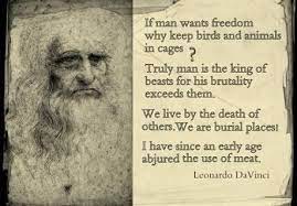 Pin On Animal Love