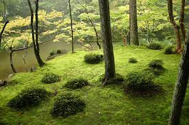 Прочитайте небольшие диалоги и замените rue bleue на rue de grenoble, place de la république. Jardin Japonais Wikipedia