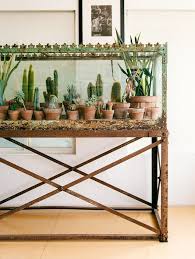 Gorgeous Boho Decor From The New Bohemians By Justina Blakeney Dekor Ev Bitkisi Ev Bitkileri