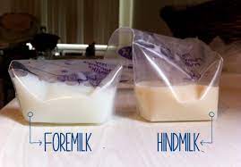 Susu ibu merupakan makanan dan minuman terbaik untuk bayi terutamanya sejak lahir hingga bayi berusia enam bulan. Kenapa Susu Badan Cair Ini Perbezaan Antara Foremilk Hindmilk