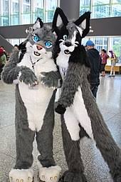 Furries haven is a server with the aim of providing furries and supporters a safe haven to hang out. Furry Fandom Wikipedia