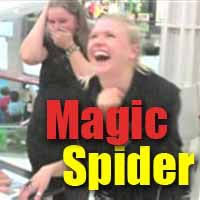 Disfrutar de éste de vez en cuando, es increíble! Magic Spider My Pet Boris Accueil Facebook