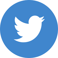 Png, jpeg, gif, bmp, etc. Twitter Icon Vector