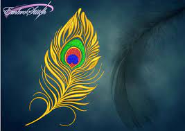 About 1% % of these are feather, 1 a wide variety of peacock feather design options are available to you, such as peacock feather. Motely Peacock Feather Embroidery Design 3 Sizes 8 Formats Embrostitch