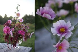 High quality flowers, over 20 years experience. Tigri Flowers
