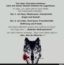 Pin Auf Bilder