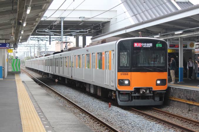 images?q=tbn:ANd9GcSxyK6cmj0nG1TQcQsN1NAsZ5DXUYN6lNxg6Vzl_AYUaoZyHBT0FxbMsm4&s=10