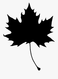 Download Maple Leaf Clipart Svg Maple Leaf Leaf Silhouette Clip Art Free Transparent Clipart Clipartkey