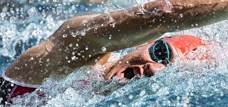 A sprint triathlon is a great first step in a triathlete's career. Varianten Triatlon Modaliteiten Triathlon Limburg Nl