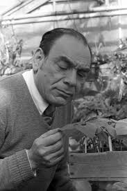 Roger Innes named chair of biology