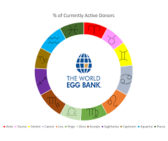 You will also be paid for your time and selfless generosity. How To Donate Eggs For Money Arxiusarquitectura